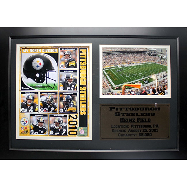 Pittsburgh Steelers 2010 Photo Stat Frame