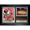 Kansas City Chiefs 2010 Photo Stat Frame