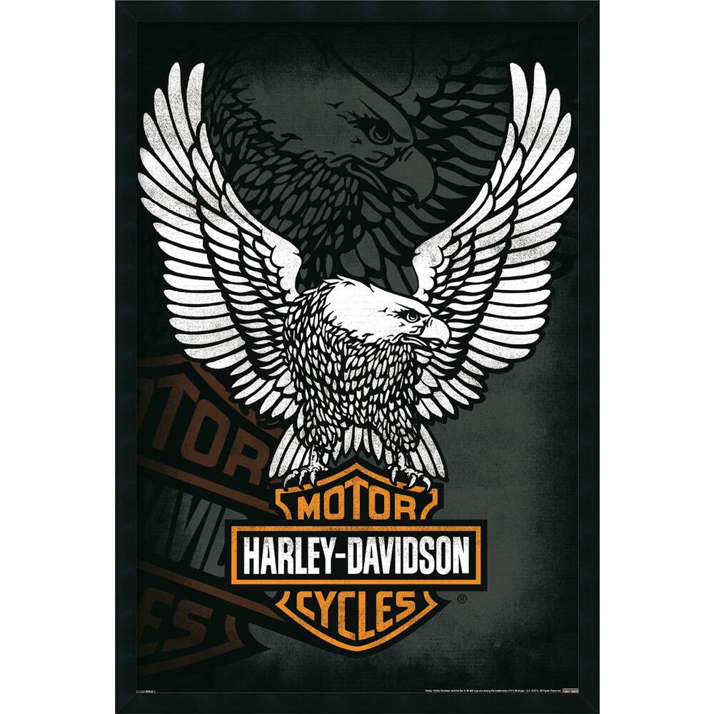 Harley Davidson - Eagle' Framed Art Print with Gel Coated Finish