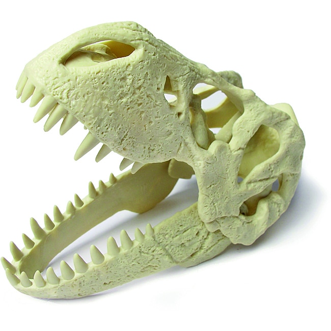 Childrens Dino T Rex Skull Plastic Excavation Kit with Tools