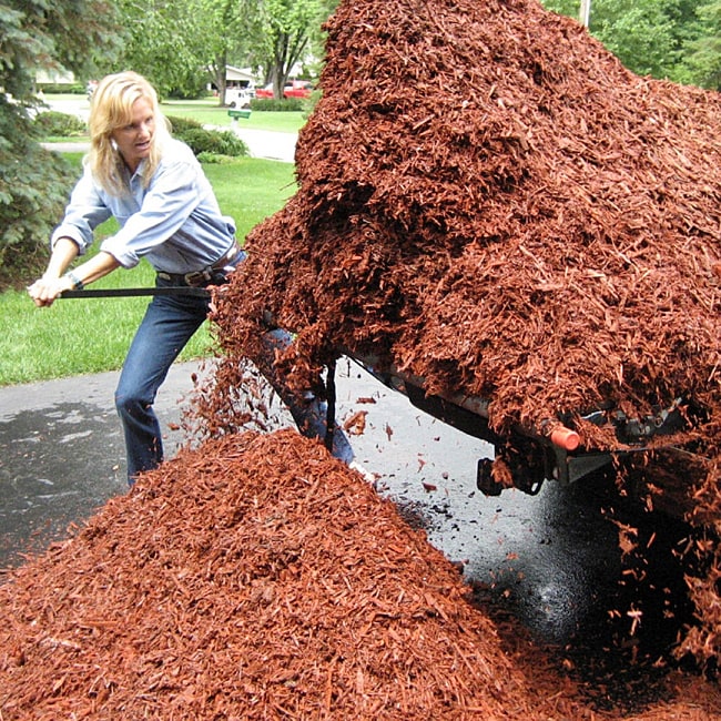 Shop Loadhandler 2200 Polyrolled Steel MidSize Pickup Truck Unloader Free Shipping Today