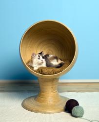 the refined feline kitty ball bed