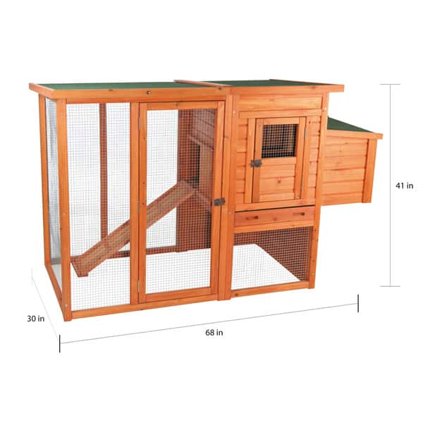 Large Chicken Coop Plans: 9 DIY Options for Growing Flocks