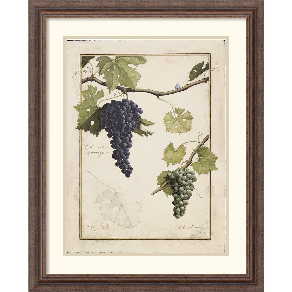 Meg Page 'Cabernet Sauvignon' Framed Art Print