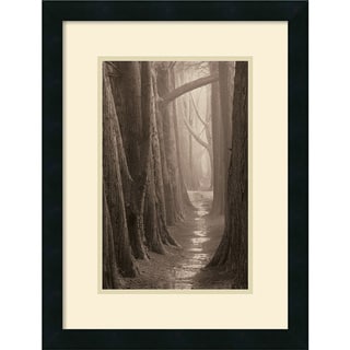 Paul Kozal 'Cypress Trail' Framed Art Print Prints