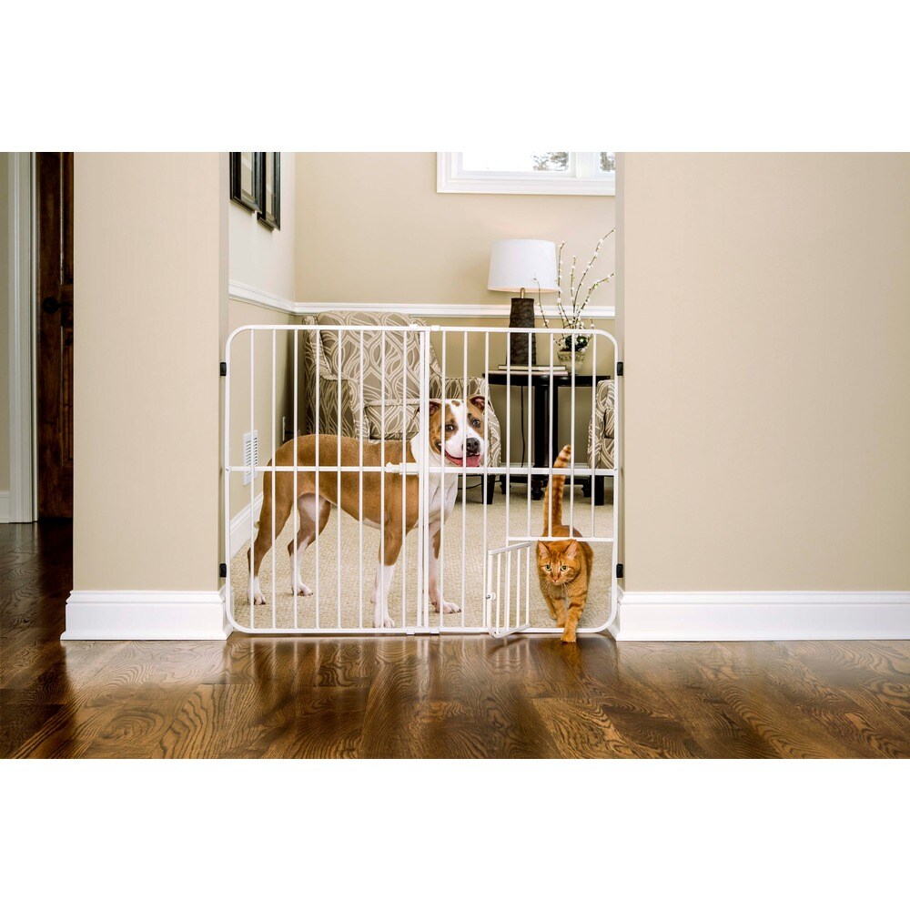 cheap dog gates
