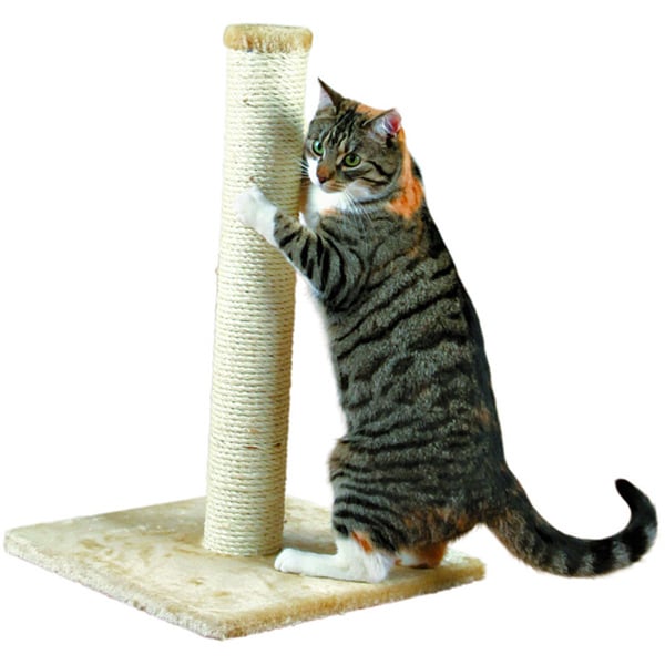 Trixie Pet Products Parla Cat Scratching Post