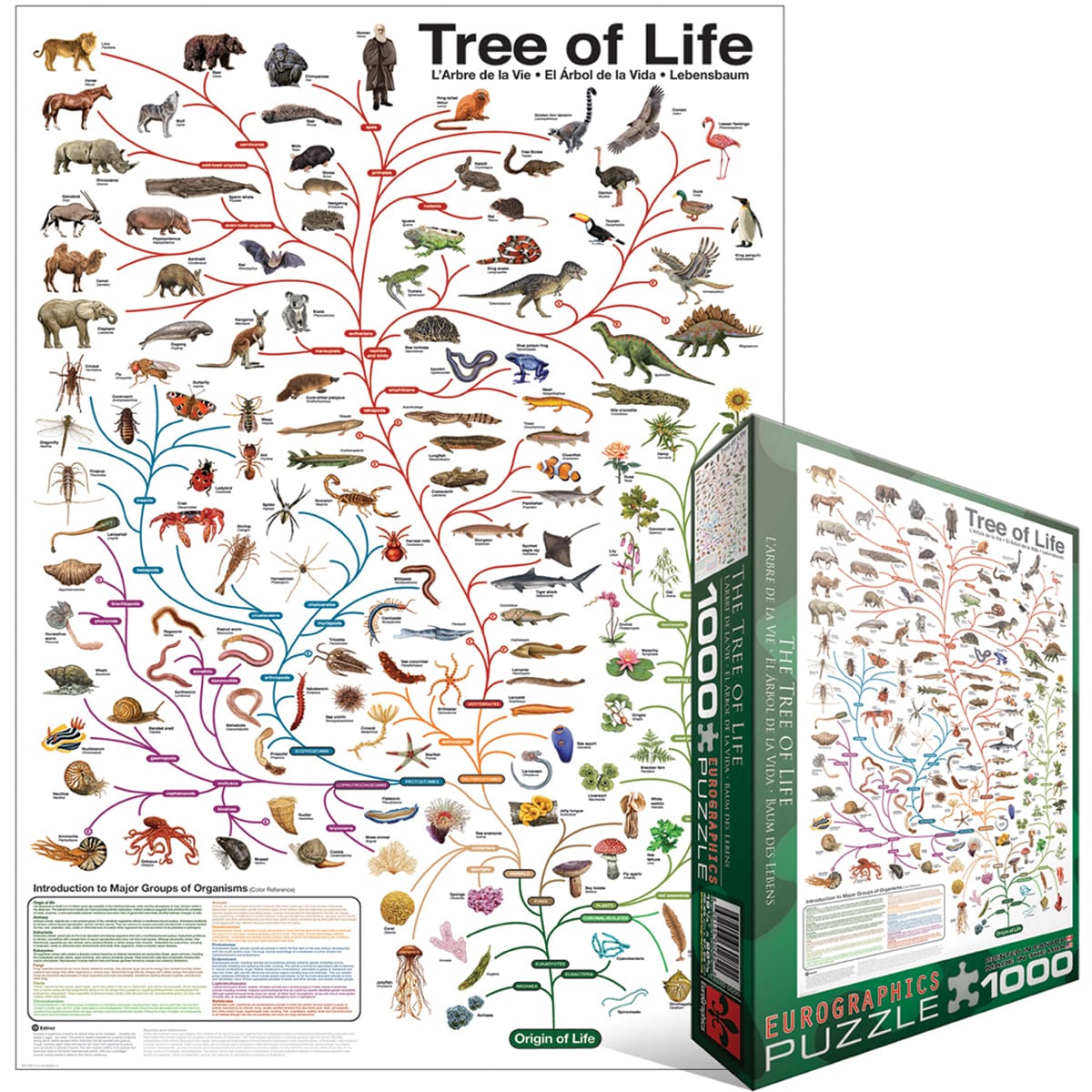 Пазл Эволюция. Модуль эволюционное дерево настенное для кабинета биологии. Tree of Life Puzzle. Эволюционное Древо стенд на русском. Головоломка эволюция