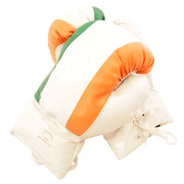 Shop Defender 16-ounce White Boxing Gloves with Irish Flag Pattern