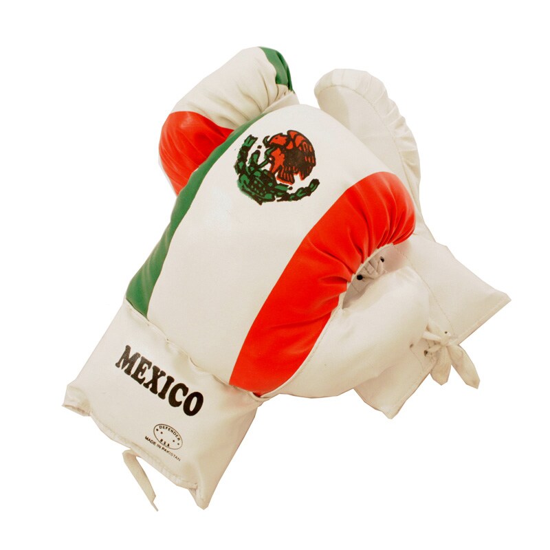 Defender Mexican 8 ounce Boxing Gloves