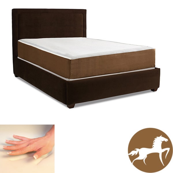 Spinal Response Exquisite 8-inch Twin-size Memory Foam Mattress