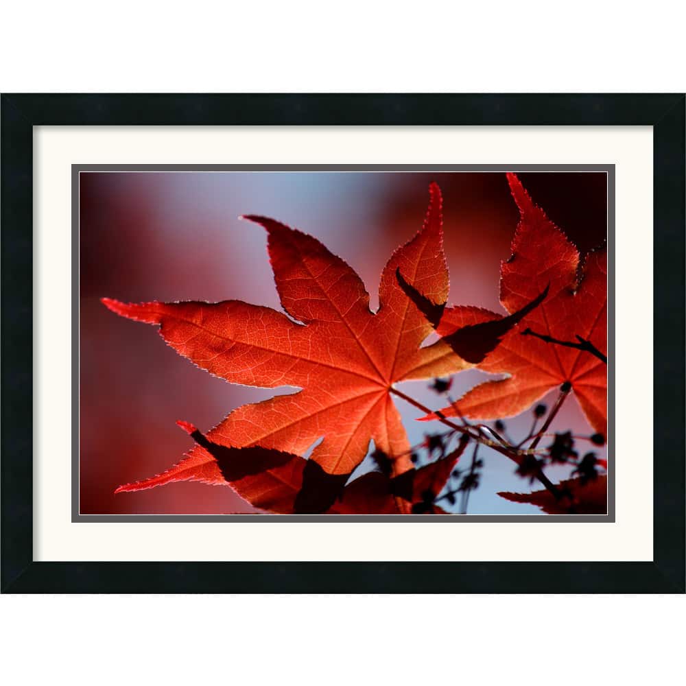 Andy Magee Red Maple Framed Art Print
