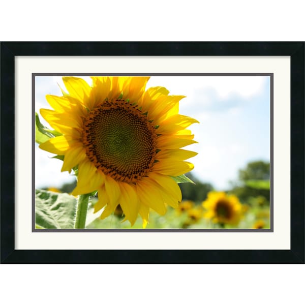 Andy Magee 'Sunflowers' Small Framed Art Print Prints