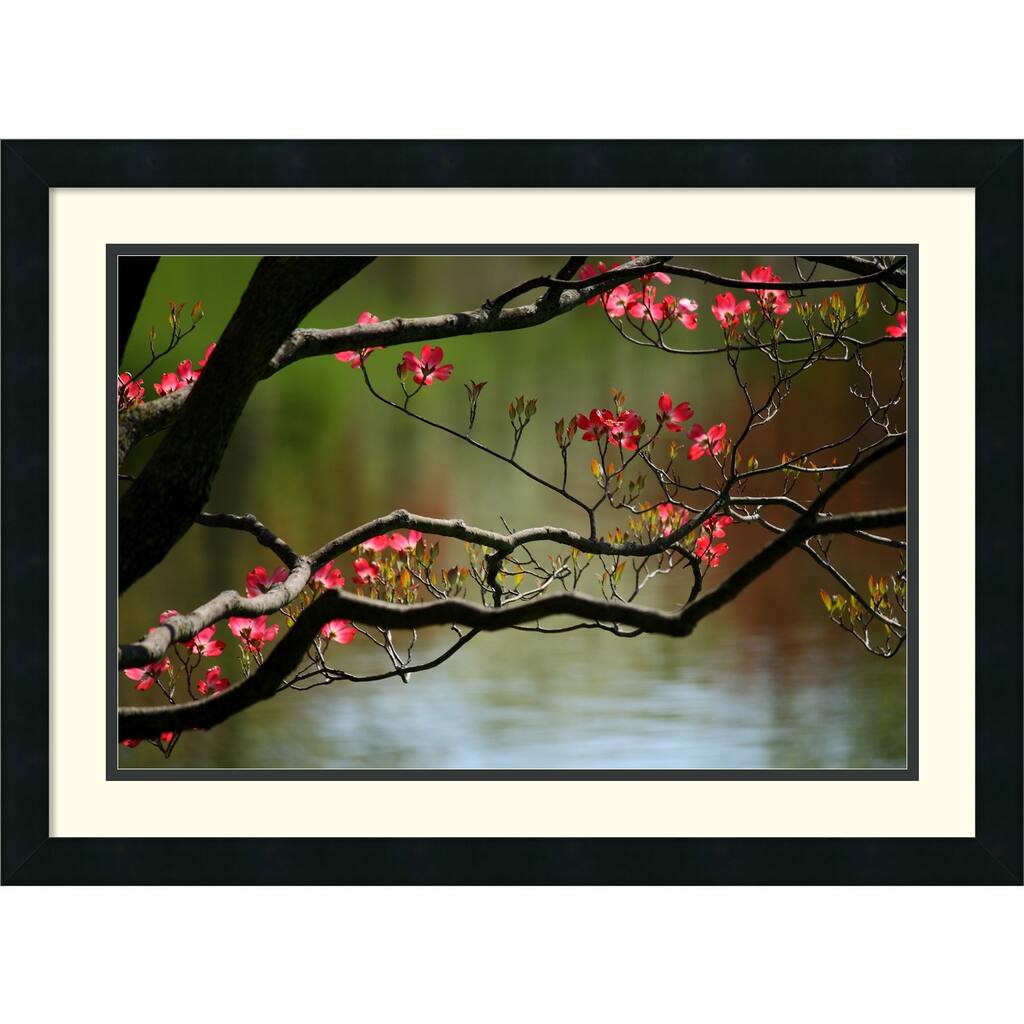 Andy Magee 'Dogwood in Bloom' Small Casual Framed Art Print