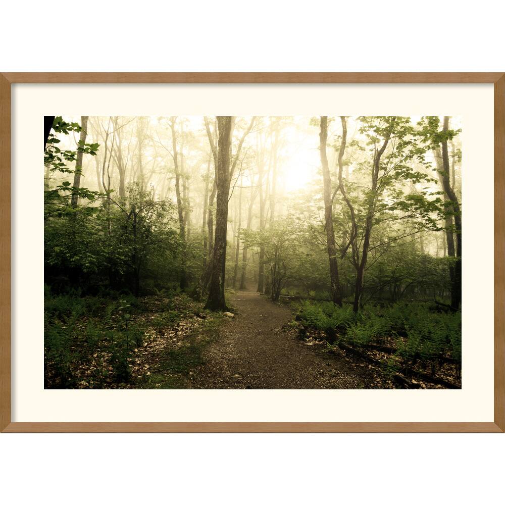 Andy Magee 'Appalachian Trail' Framed Art Print