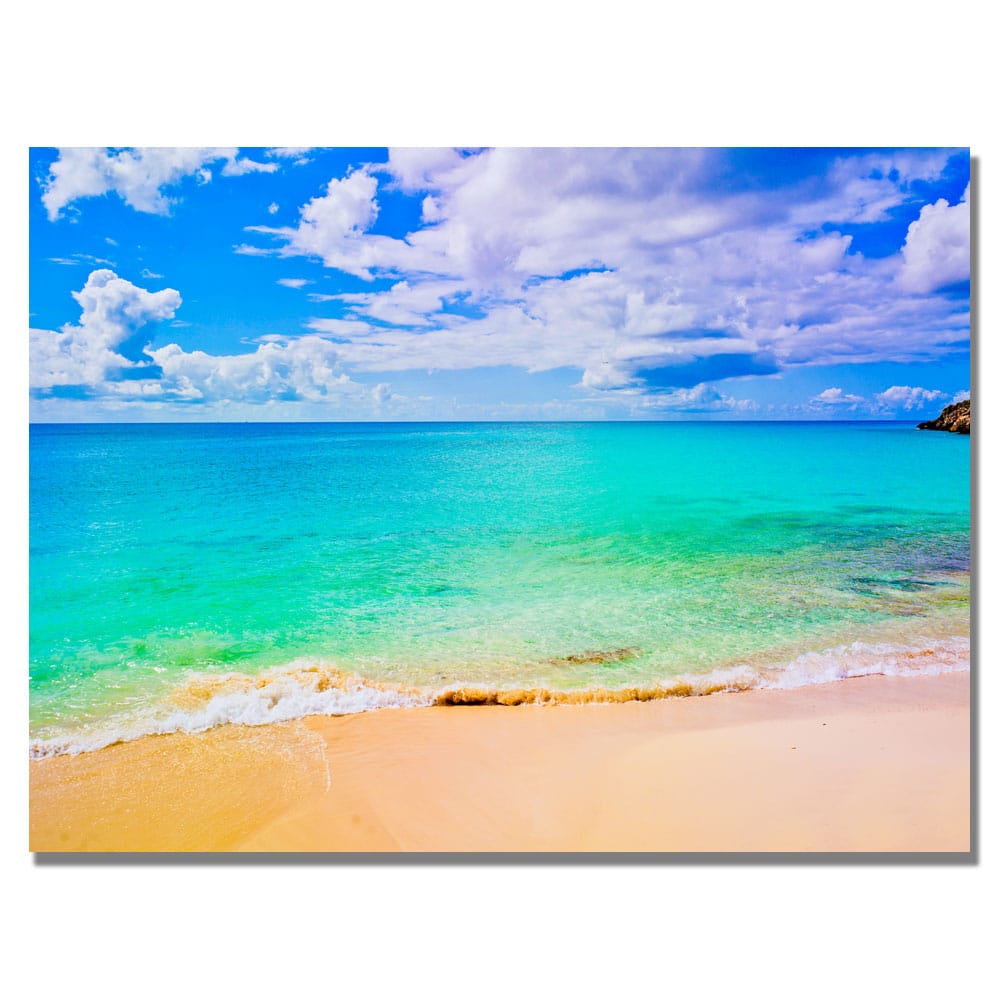Preston 'Maho Beach' Canvas Art