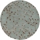 preview thumbnail 76 of 196, Sakura Handmade Transitional Floral Wool Area Rug 6' Round/Surplus - Sage - Runner/Round