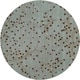 preview thumbnail 72 of 196, Sakura Handmade Transitional Floral Wool Area Rug 9'9" Round/Surplus - Sage - Runner/Round