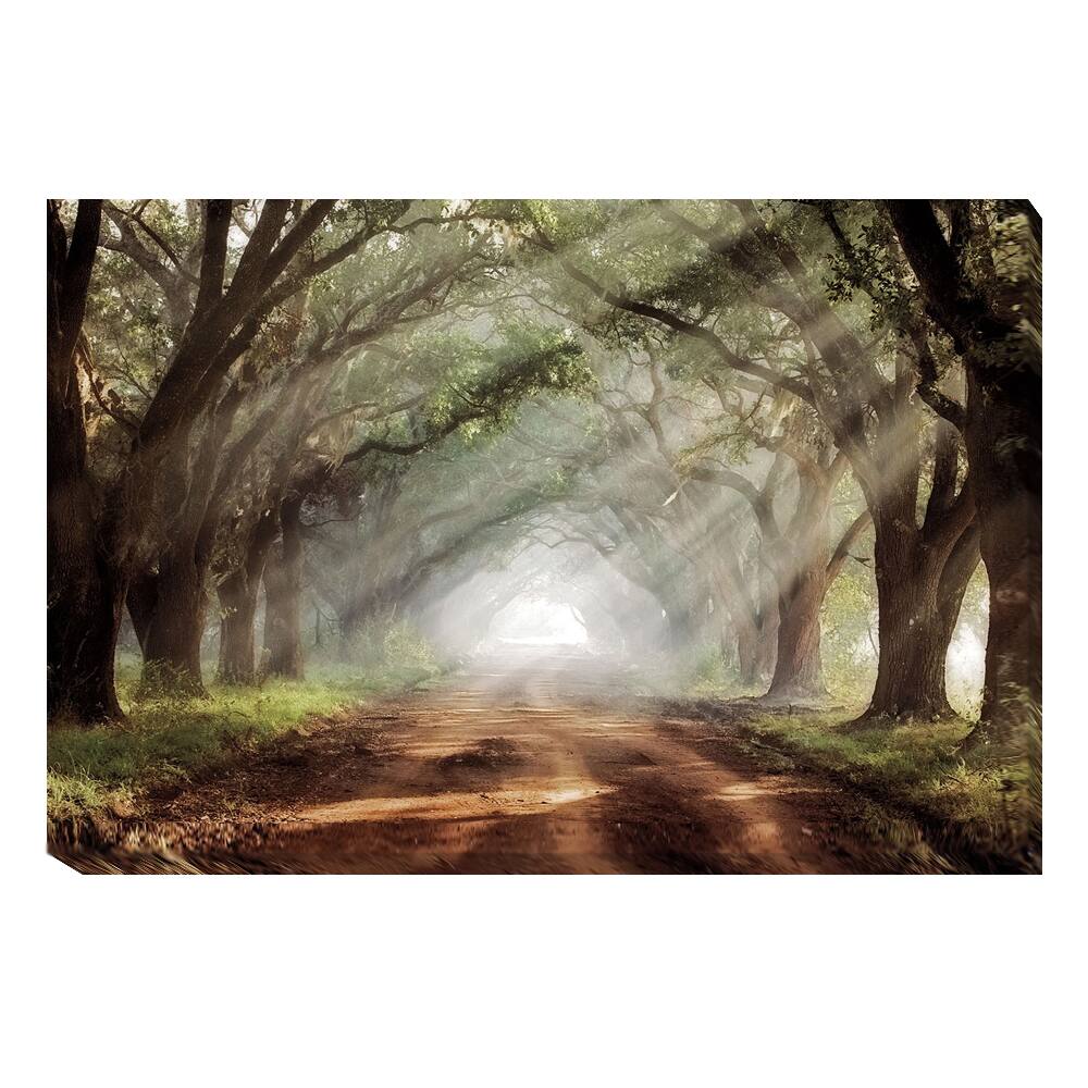 Mike Jones 'Evergreen Plantation' Canvas Art