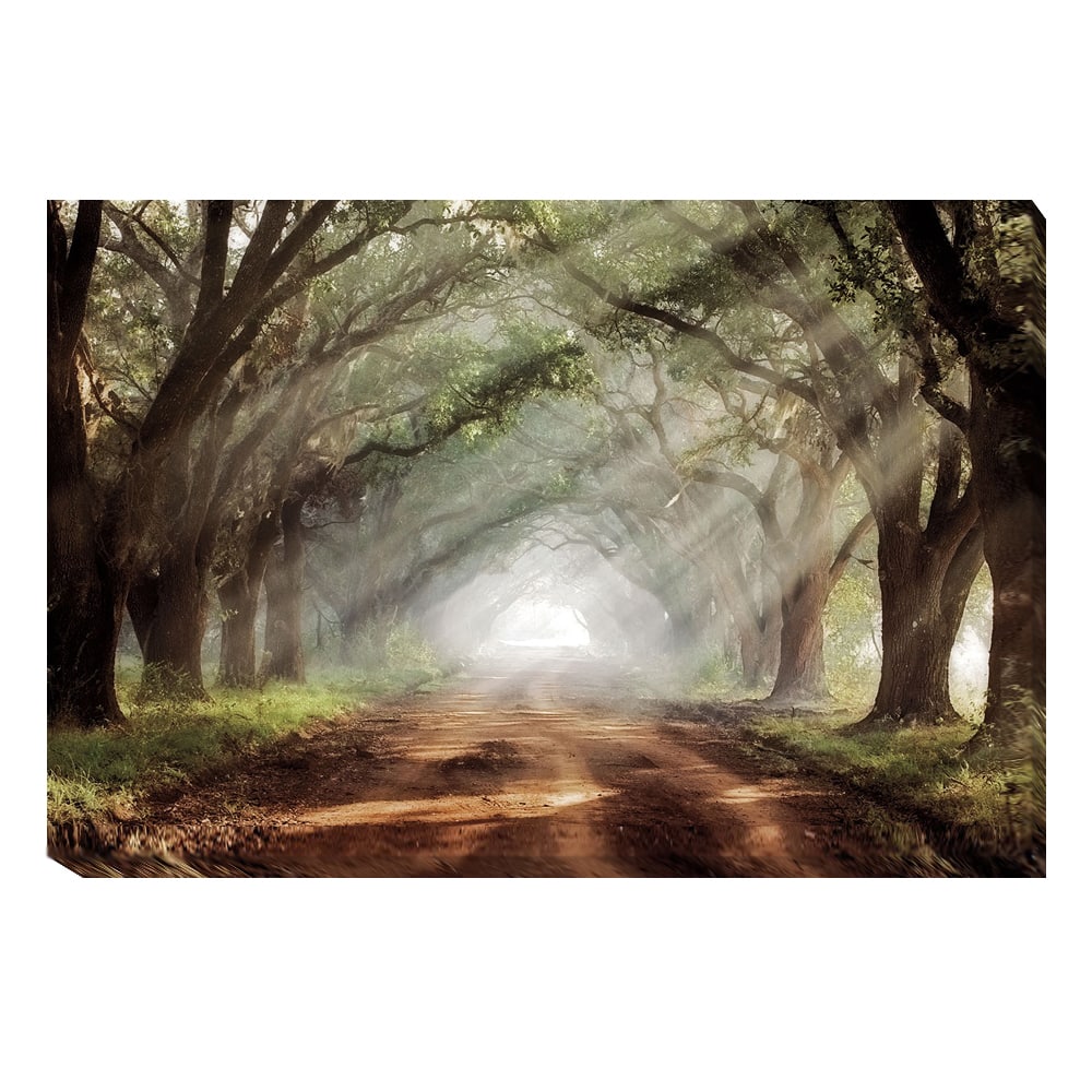 Mike Jones 'Evergreen Plantation' Canvas Art
