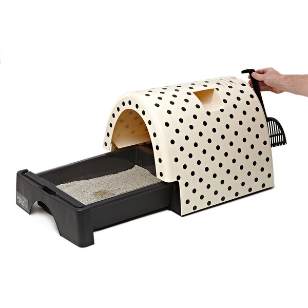 kitty a go go cat grooming