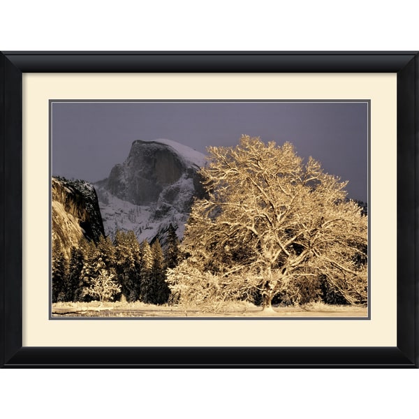 William Neill 'Half Dome and Elm' Framed Art Print Prints