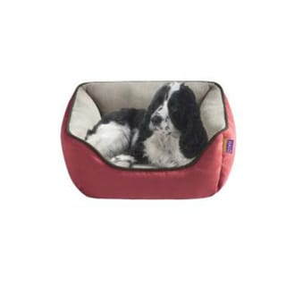 heat spots on dogs