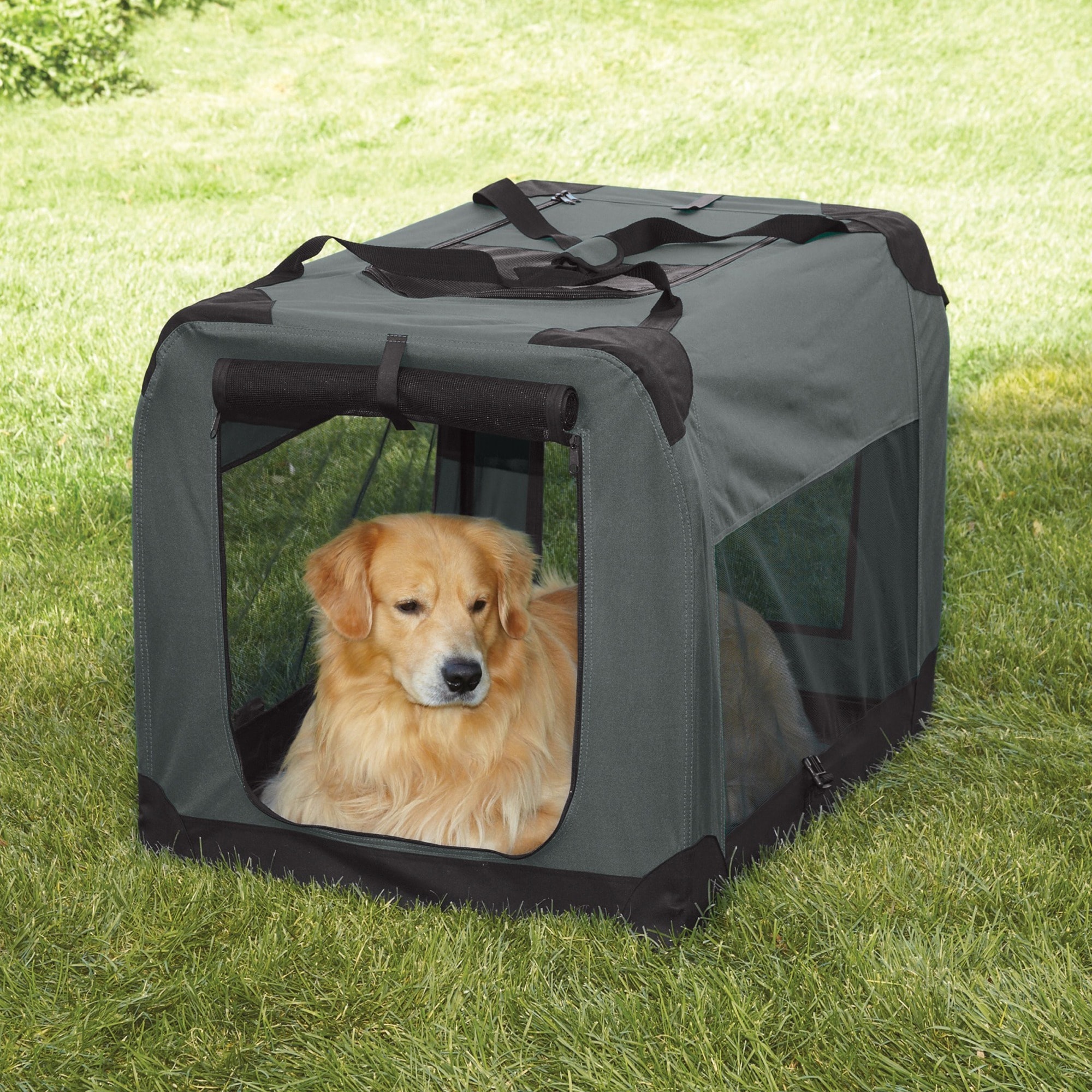 large soft collapsible dog crate