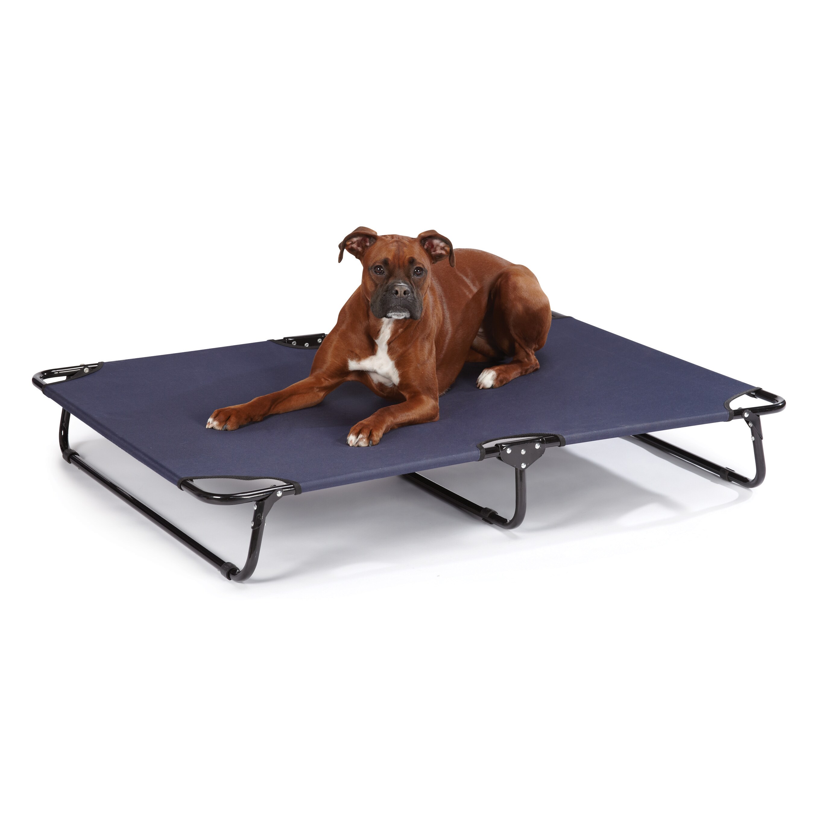 Guardian Gear Navy XL Portable Pet Cot - 14330385 - Overstock Shopping ...