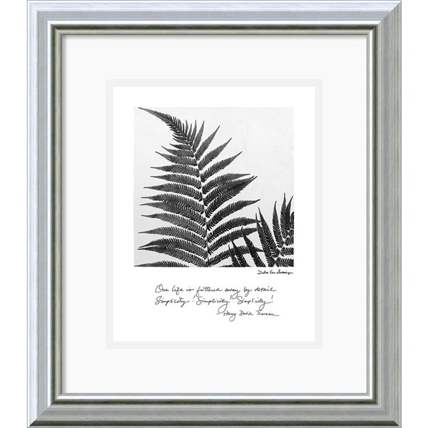 Debra Van Swearingen 'Delicate Ferns' Framed Art Print Prints