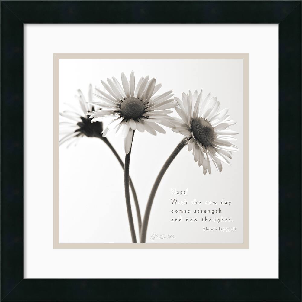 Deborah Schenck 'Daisy Hope' Framed Art Print