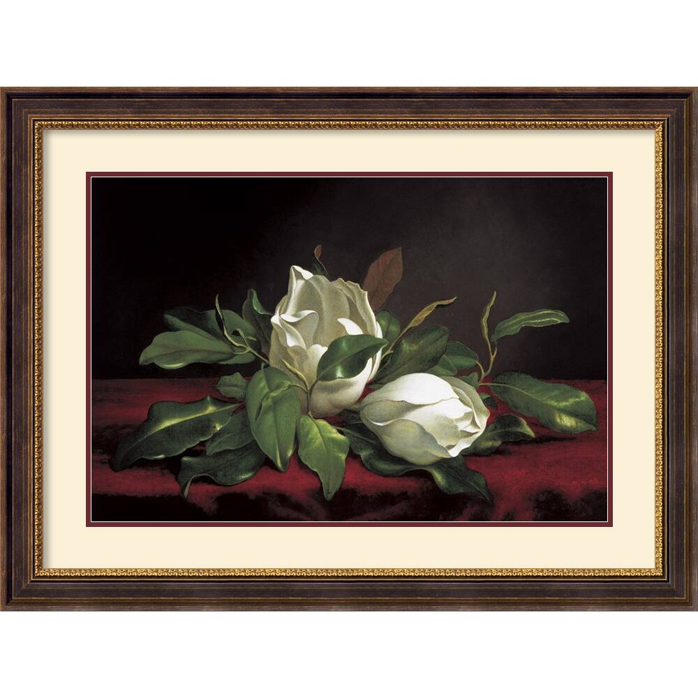 Martin Johnson Heade 'Magnolia Buds' Framed Art Print