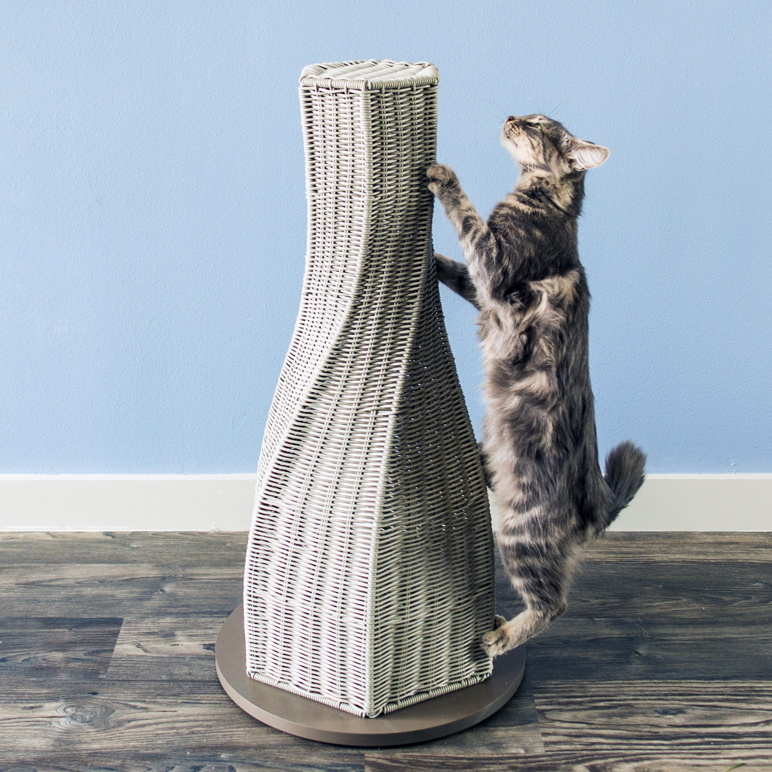 calypso cat scratcher