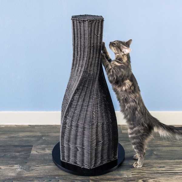 calypso cat scratcher