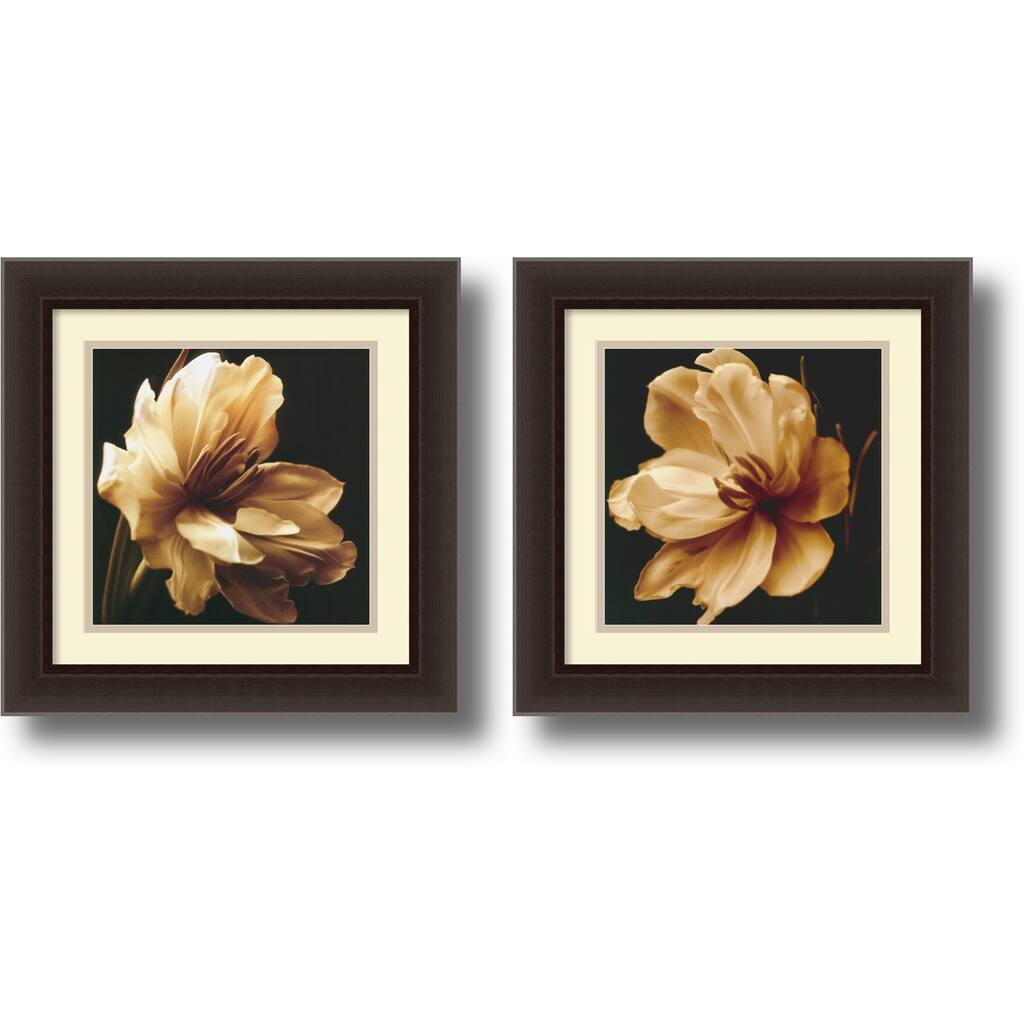 Framed Art Print 'Timeless Grace - set of 2' by Charles Britt 18 x 18-inch Each