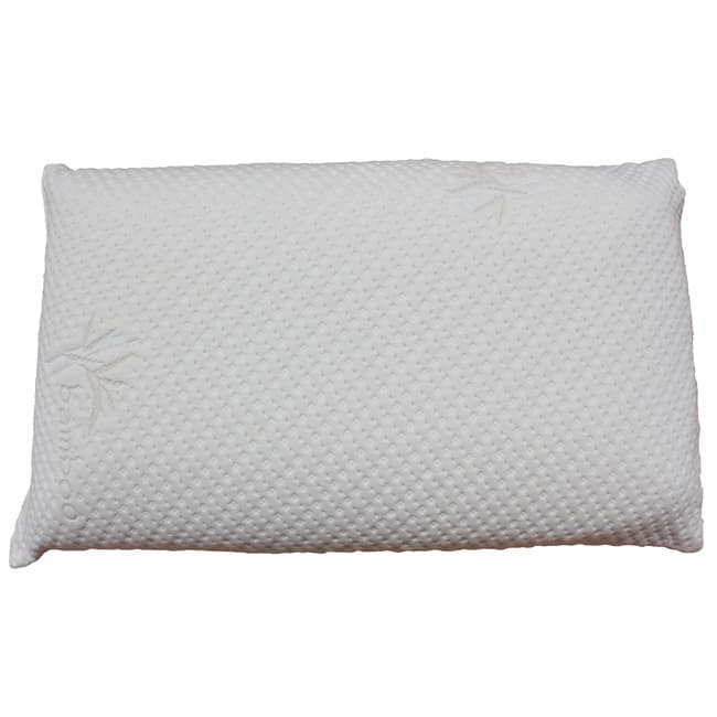 Plush Ventilated Visco Queen-size Memory Foam Pillow