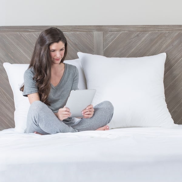 Shop Swisslux Eco Fiber 28 X 28 Inch Euro Square Pillow Set Of 2