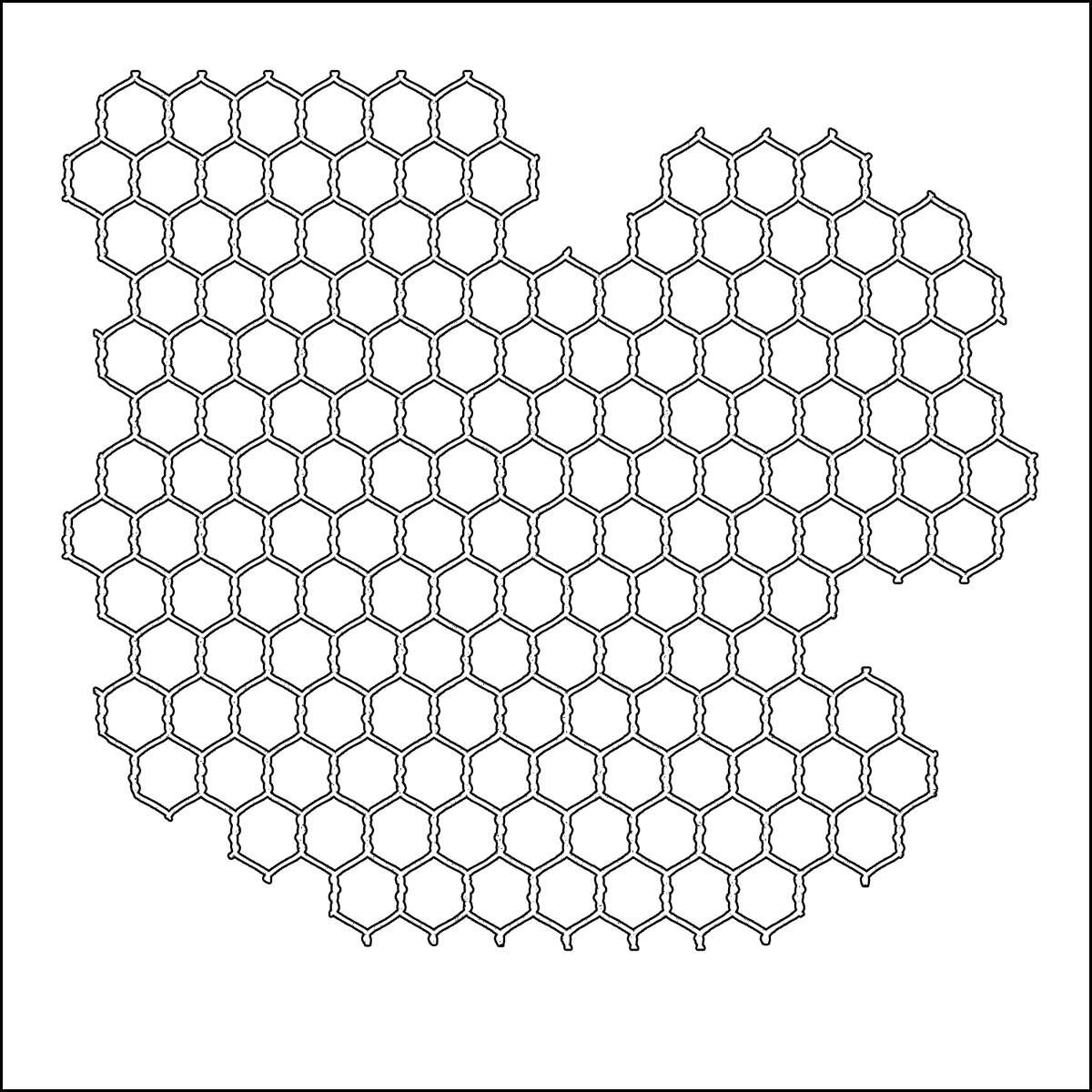 Crafters Workshop Templates 12x12 chicken Wire