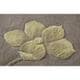 preview thumbnail 6 of 11, Nourison Julian Hand-tufted Area Rug