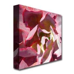 Amy Vangsgard Succulent Square Ii Canvas Art Multi Overstock 7022809
