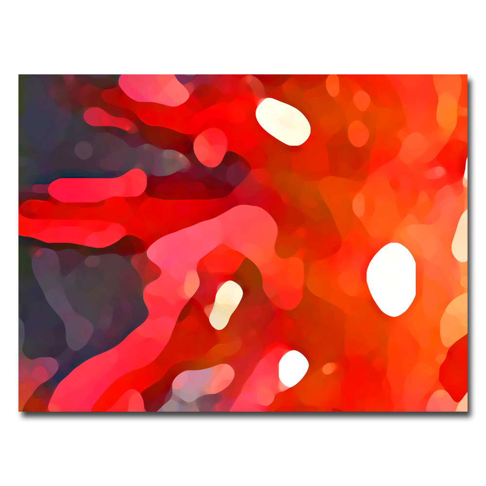 Amy Vangsgard Red Sun Canvas Art   14530202   Shopping