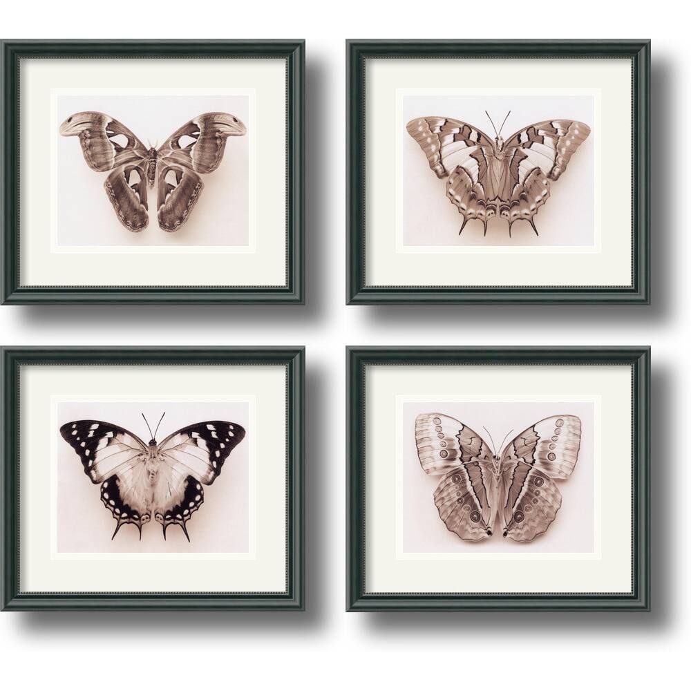 Raquel Edwards 'Butterflies' Framed Art Print Set