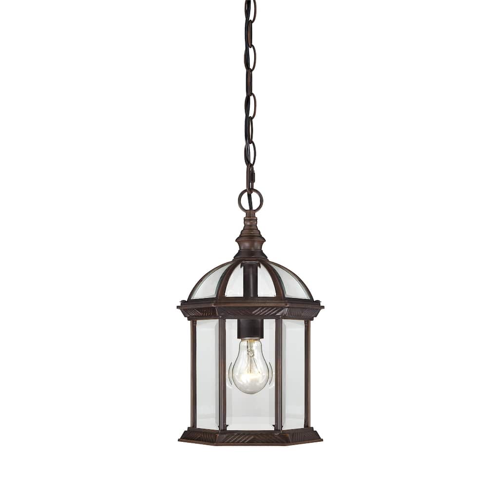 Nuvo Boxwood 1-light Rustic Bronze 14-inch Hanging Fixture