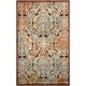 preview thumbnail 116 of 141, Nourison Graphic Illusions Vintage Distressed Area Rug