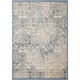 preview thumbnail 55 of 141, Nourison Graphic Illusions Vintage Distressed Area Rug