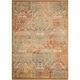 preview thumbnail 96 of 141, Nourison Graphic Illusions Vintage Distressed Area Rug