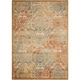 preview thumbnail 135 of 141, Nourison Graphic Illusions Vintage Distressed Area Rug