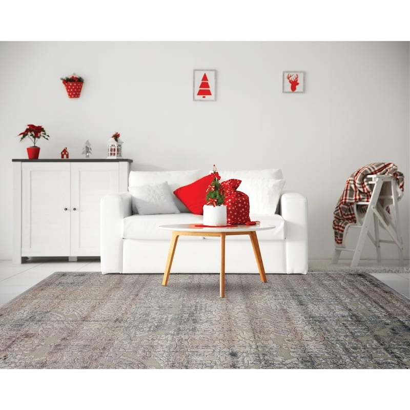 Nourison Graphic Illusions Vintage Distressed Area Rug