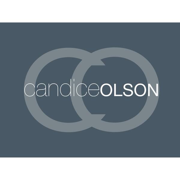 Shop Candice Olson Down Alternative Pillows With Removable Cover
