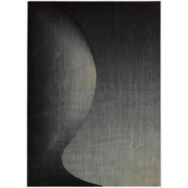 Nourison Radiant Arts Onyx Rug